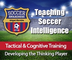 The 4 2 3 1 Model Of Successful Player Development